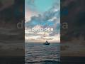 Life in the deep-sea | DW Documentary