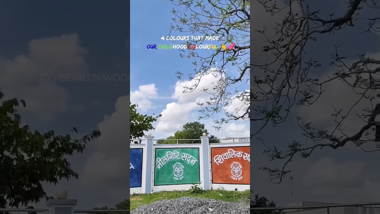 🌄 Four Houses of Jawahar Navodaya Vidyalaya | Unity in Diversity | Navodaya Life 🌄 