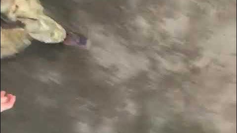 78730387453  A7C7E9CE 48C8 429A B5E5 F83E9F2DEC1F