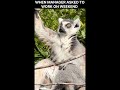 What else could be more shocking?🙈😂#shorts #funny #animals #memes