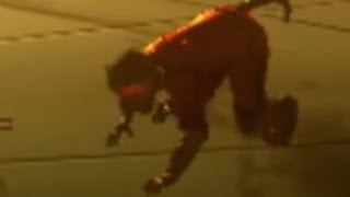 Ascension space monkeys