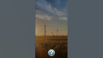 QuizTime! General Knowledge Quiz Questions! #gkquiz