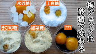 【梅仕事】結局梅シロップの砂糖はどれがいい？梅農家が徹底検証してみました