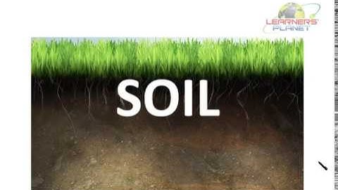 CBSE Class 7 Science Soil TS 1 NCERT Solutions for Class 7th Science