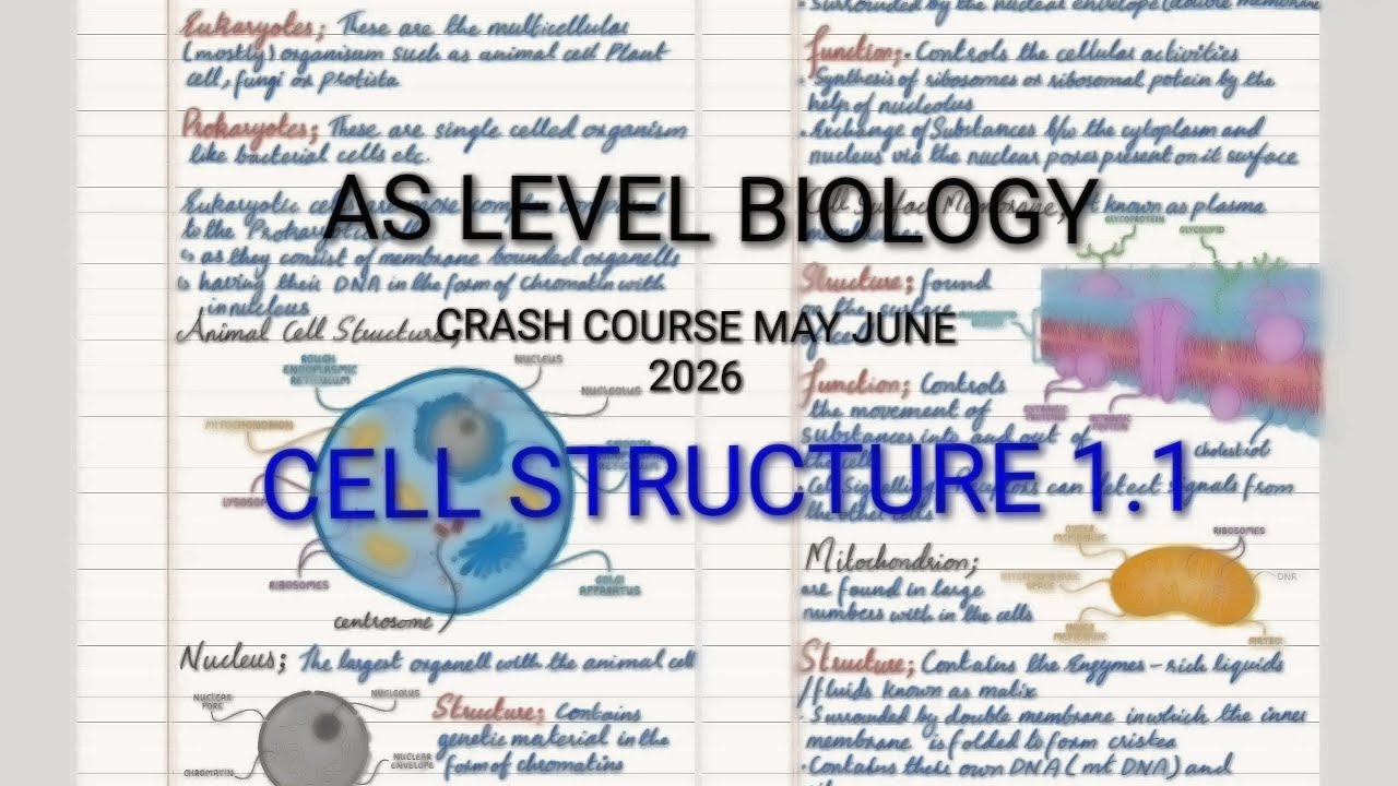 Cell Structure 1.1 AS LEVEL BIOLOGY lacture with detailed explanation ...