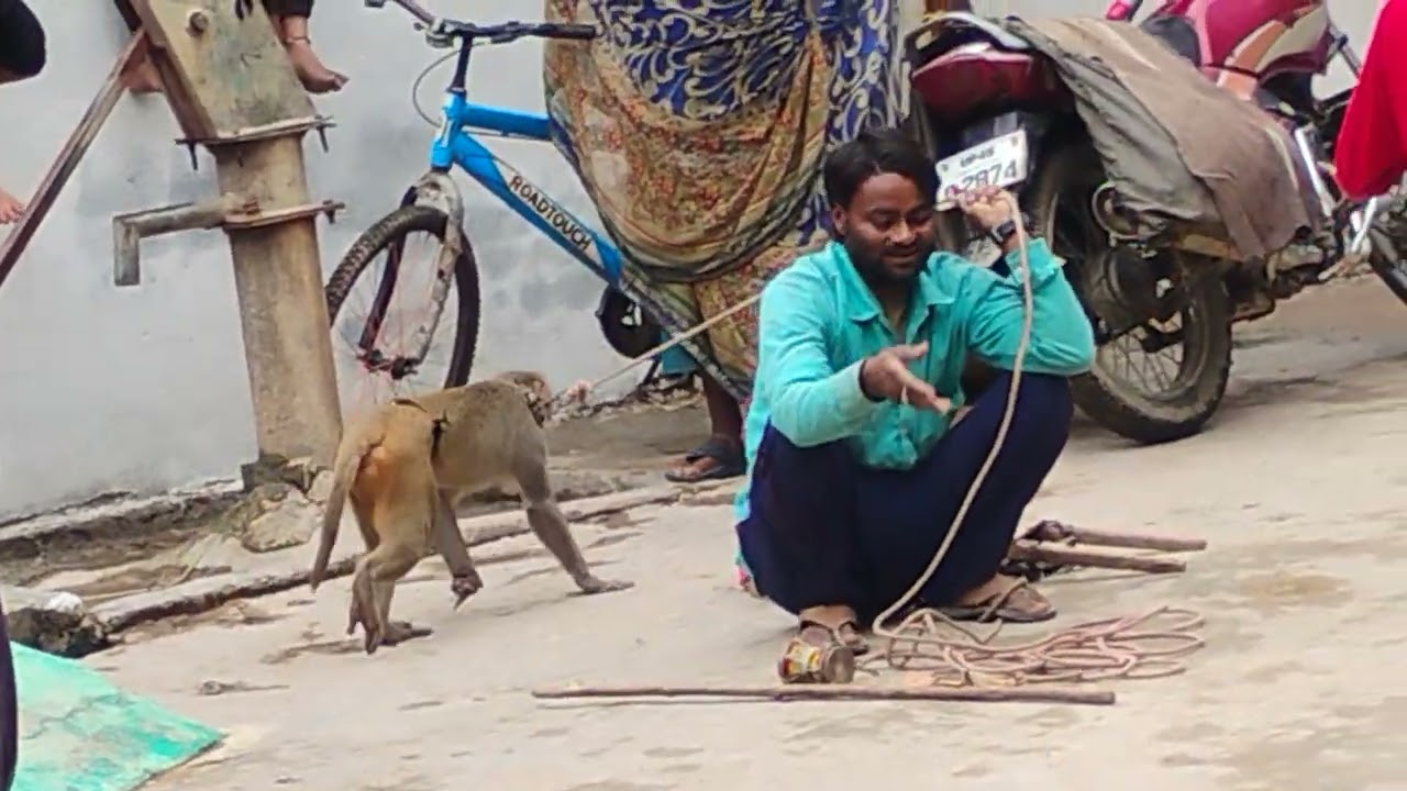 31 अक्तूबर 2025