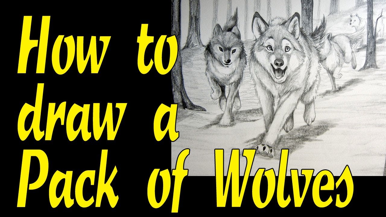 pack of wolves drawing