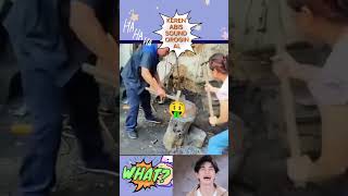 Download Lagu Sound viral#sound #lucu #videolucu #shorts #fyp #trending #ngakak #ketawa @Akaja77-i9o MP3