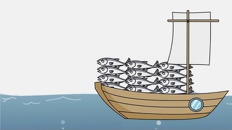 Brain out 2 level 76 save the salted fish! Walkthrough solution