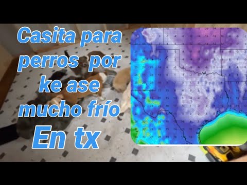 Video: Perrera De Bricolaje Para Un Perro: Instrucciones Paso A Paso, Un Dibujo De Cómo Aislar Una Cabina Para El Invierno Con Un Video