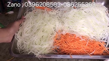 Máy thái sợi cà rốt , đu đủ - củ cải vv ☎️☎️0396208583