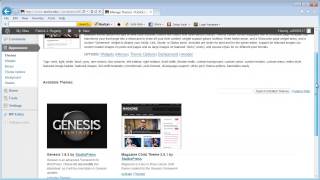 Choosing a WordPress Theme