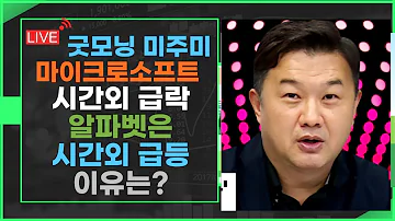 굿모닝 미주미 마이크로소프트는 급락 알파벳은 급등한 이유 비자 실적까지 갑니다 미주미 이항영