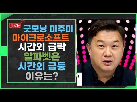 굿모닝 미주미 마이크로소프트는 급락 알파벳은 급등한 이유 비자 실적까지 갑니다 미주미 이항영 