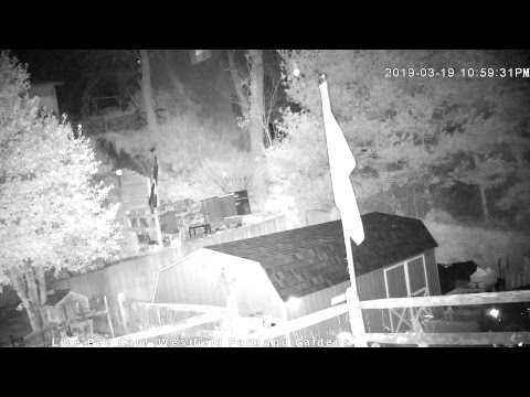 Live Honey Bee CAM - 1080p HD 24/7 Like & Share Us! Through Awareness - we're saving the bees!