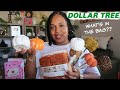 DOLLAR TREE !!!! WHAT DID I BUY?