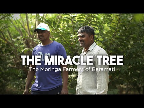 The Journey of a Superfood | Farms Unheard | Episode 2