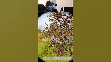 Stream snipers at it again 💩🚽 | #candybane on #Twitch #dayz #dayzclips #dayzmoments #dayzpvp