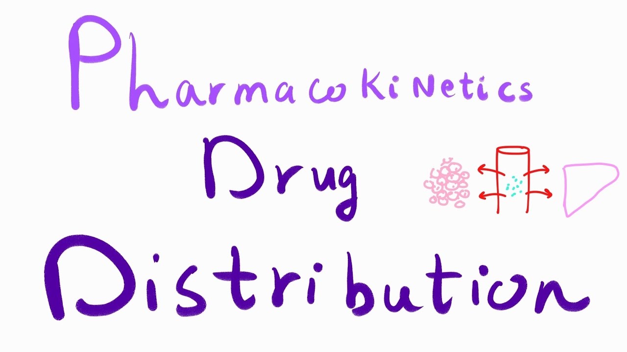Pharmacokinetics : Drug Distribution | General pharmacology | mbbs 2nd ...