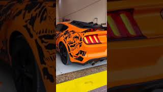 Ford Mustang Skull Decals Contact Us 0521596424
