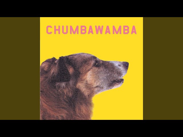 Chumbawamba - Pass It Along