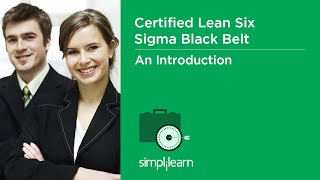 About LSSBB: Lean Six Sigma Black Belt Course screenshot 5