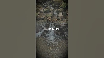 INTROVERT