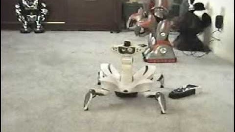 Skype Robot Demonstration with WowWee Roboquad - Video
