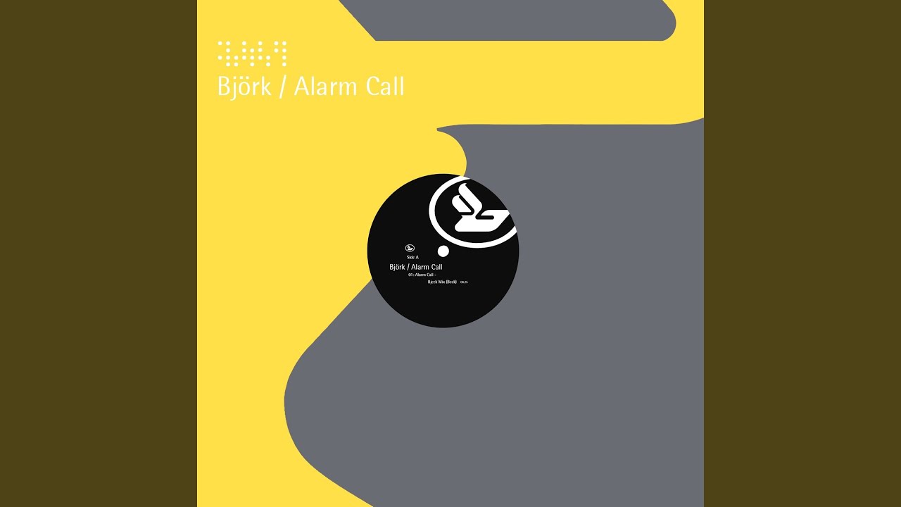 BJORK Alarm Call BOXセット BJORK Alarm Call BOXセット Bjork, Alarm Call, VHS + 3 CD Box