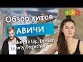 Обзор хитов Avicii: Wake Me Up, Levels, Lonely Together | Puzzle English