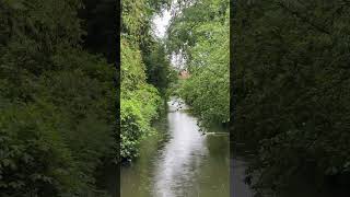 rain eindhoven goodvibes refreshing nature