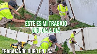 ESTE ES MI TRABAJO DIARIO EN USA LANDSCAPING JARDINERIA PARA PRINCIPIANTES