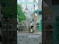 Dhoom Dada Dhoom Bukhari status (1-2-2023)