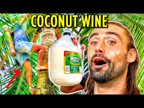 Harvesting & Drinking Coconut Wine In The Philippines (Coconut Flower Nectar Alcohol)
