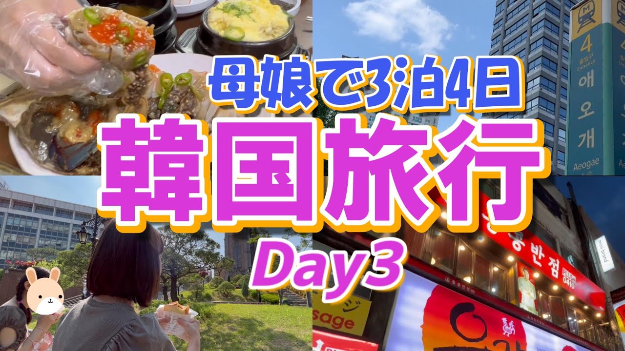 【韓国旅行VLOG⓷】💄東大門のオリーブヤングは穴場/香港飯店でジャージャー麵/おススメ💕明洞聖堂とイサックトースト/激うまカンジャンケジャン/明洞ストリート/seoul travel vlog