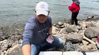 Shad Fishing Has Begun!