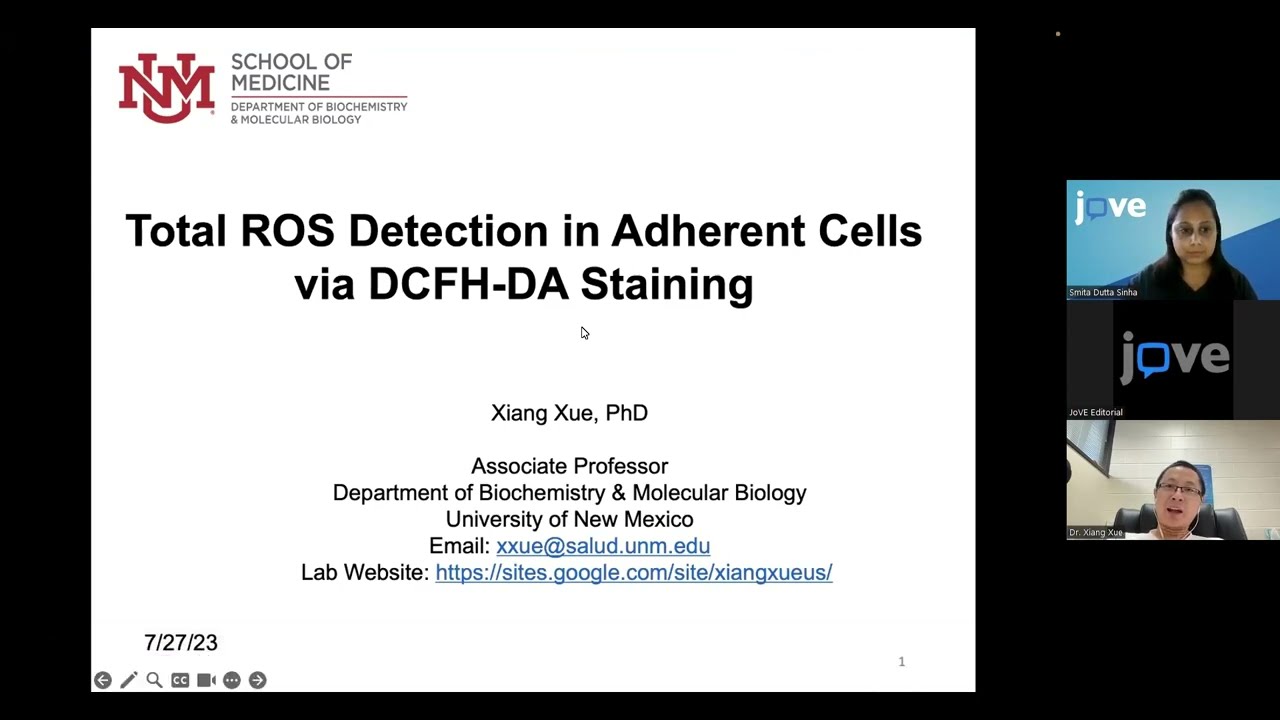 ROS Detection in Adherent Cells via DCFH DA Staining