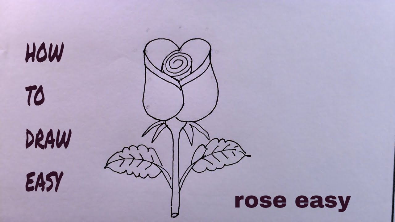 How to Draw a Rose | Roses drawing, Easy drawings for kids, Easy flower  drawings