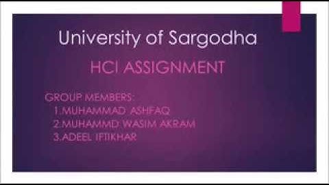 University of Sargodha,HCI Assignment Low frediality Prototyping mpeg4