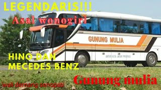 BUS. GUNUNG MULIA // LEGENDARIS!!! yang berasal dari wonogiri sejak tahun 1986