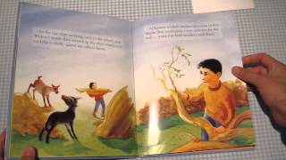 Quick Reviews of Kids' Books - The Olive Tree