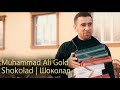 Muhammad Ali Gold - Shokolad | Шоколад