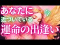 【人生総合🪽】『あなたに今近づいている運命の出逢い❤️人生を大きく展開させるご縁🕊️✨が来てます👼👑』#タロット#タロット占い#タロットカード#リーディング#オラクルカード#仕事#恋愛占い