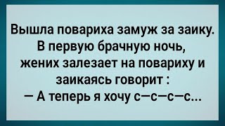 Как Повариха За Заику Замуж Вышла! Сборник Свежих Анекдотов! Юмор!