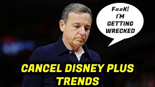 Disney Gets WRECKED! Mass Cancelling Of Disney Plus Elon Musk VS Bob Iger