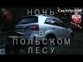 СЕРИЯ 016. НОЧЬ В ПОЛЬСКОМ ЛЕСУ. ВСЯ ПРАВДА О НОЧЁВКАХ В МАШИНЕ