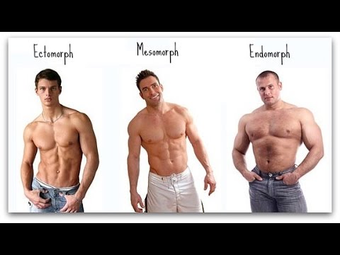 exercise 14.1 class 11 are you an ectomorph??