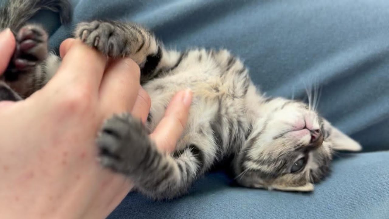 手の甲の傷すらも愛おしい。やんちゃな君が大好き。