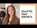 Dyed my locs BROWN | KISS Tintation- Warm Brown