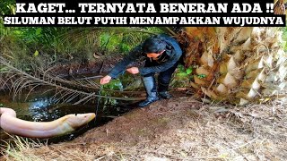 Nyata Adanya... Wujud Asli Siluman Belut Putih Yang Bikin Geger Warga Pontianak Berhasil Ditangkap!!